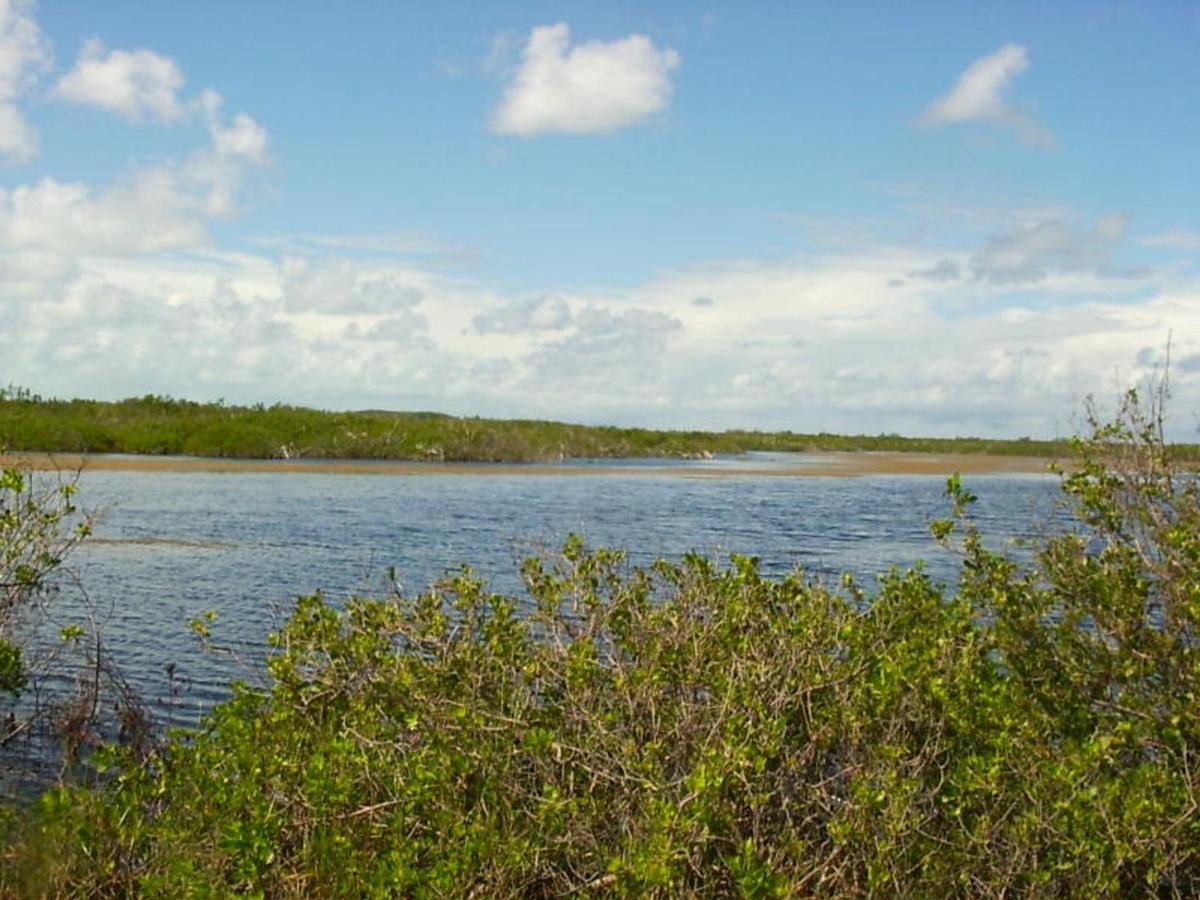 James Cistern Buttonwood Reserve 2A מראה חיצוני תמונה